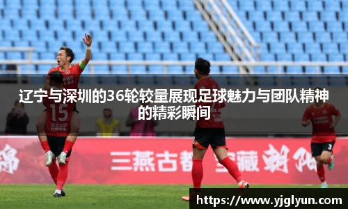辽宁与深圳的36轮较量展现足球魅力与团队精神的精彩瞬间
